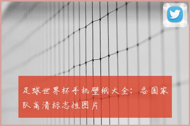 足球世界杯手机壁纸大全：各国家队高清标志性图片