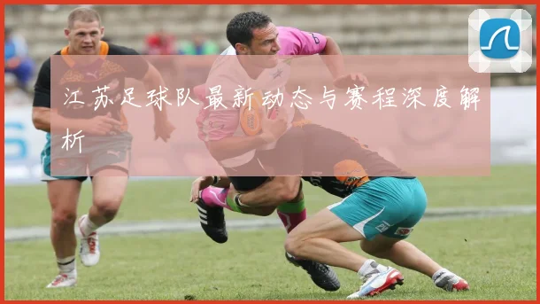 江苏足球队最新动态与赛程深度解析